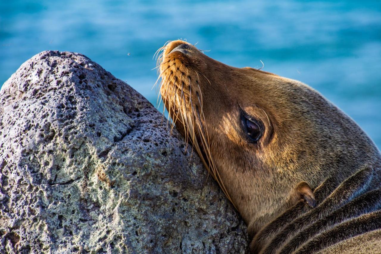 Finch Bay Galapagos Hotel Puerto Ayora  Exteriör bild
